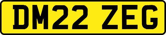 DM22ZEG