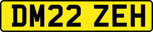 DM22ZEH