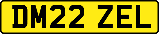 DM22ZEL