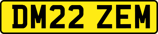 DM22ZEM