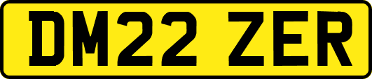 DM22ZER