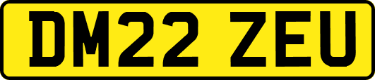 DM22ZEU