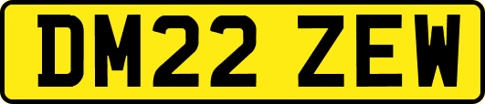 DM22ZEW