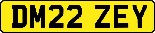 DM22ZEY
