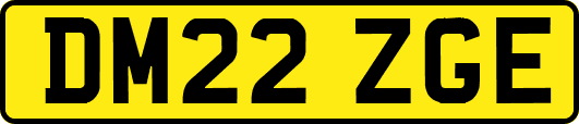 DM22ZGE