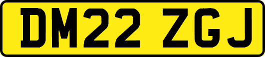 DM22ZGJ