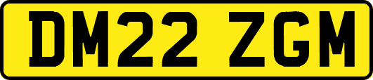 DM22ZGM