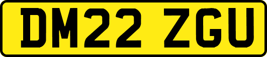 DM22ZGU