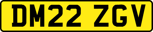 DM22ZGV
