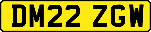 DM22ZGW