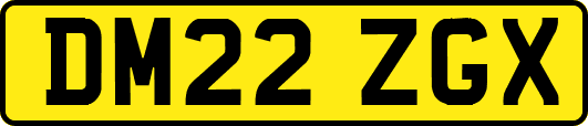 DM22ZGX