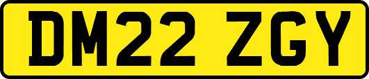 DM22ZGY