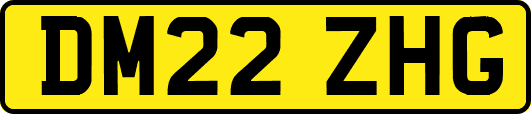DM22ZHG