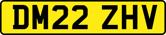 DM22ZHV