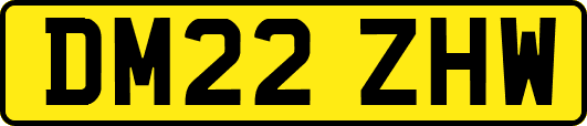 DM22ZHW