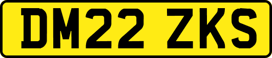 DM22ZKS