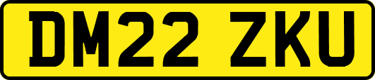 DM22ZKU