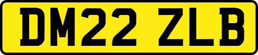 DM22ZLB