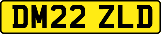 DM22ZLD