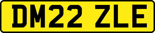 DM22ZLE