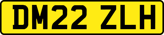 DM22ZLH
