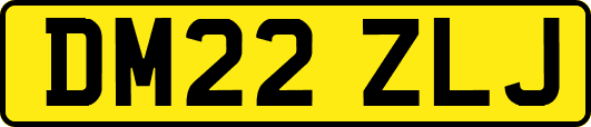 DM22ZLJ
