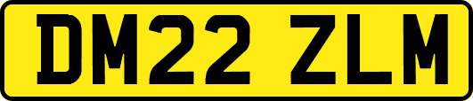 DM22ZLM