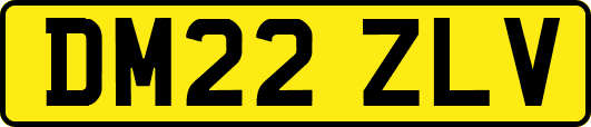 DM22ZLV