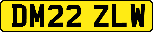 DM22ZLW