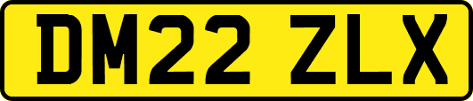 DM22ZLX