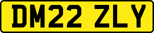 DM22ZLY