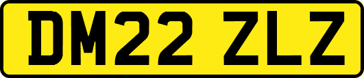 DM22ZLZ