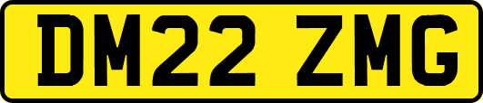 DM22ZMG