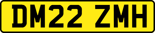 DM22ZMH