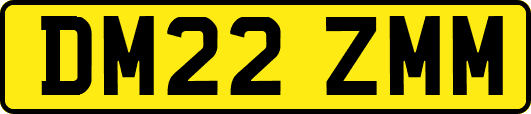 DM22ZMM