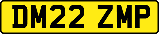 DM22ZMP