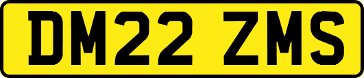 DM22ZMS