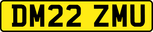 DM22ZMU