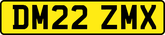 DM22ZMX