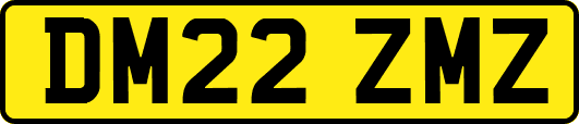 DM22ZMZ