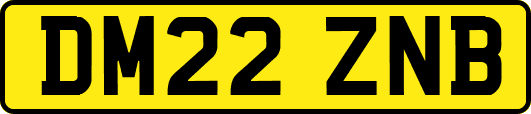 DM22ZNB