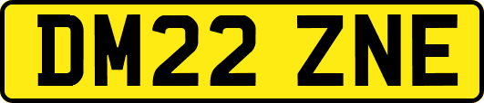DM22ZNE