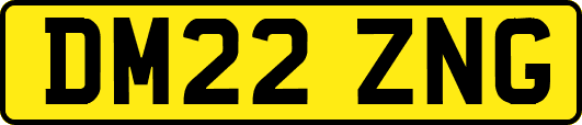 DM22ZNG