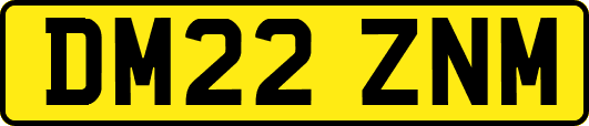 DM22ZNM