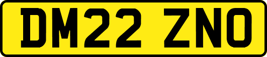 DM22ZNO