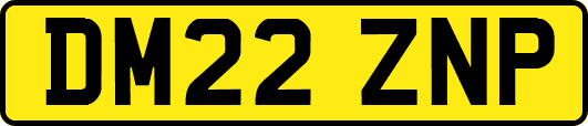 DM22ZNP