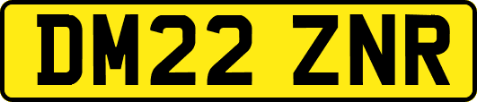 DM22ZNR