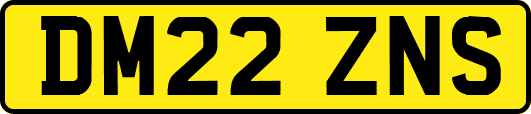 DM22ZNS