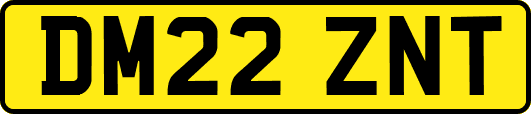 DM22ZNT