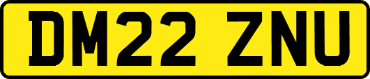 DM22ZNU